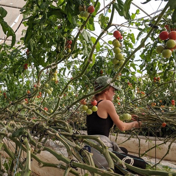 Meet your Posher, Cam - Picture 1 of 1